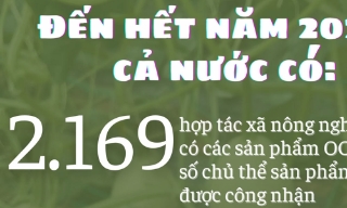 Hơn 2.100 hợp tác xã nông nghiệp có sản phẩm OCOP